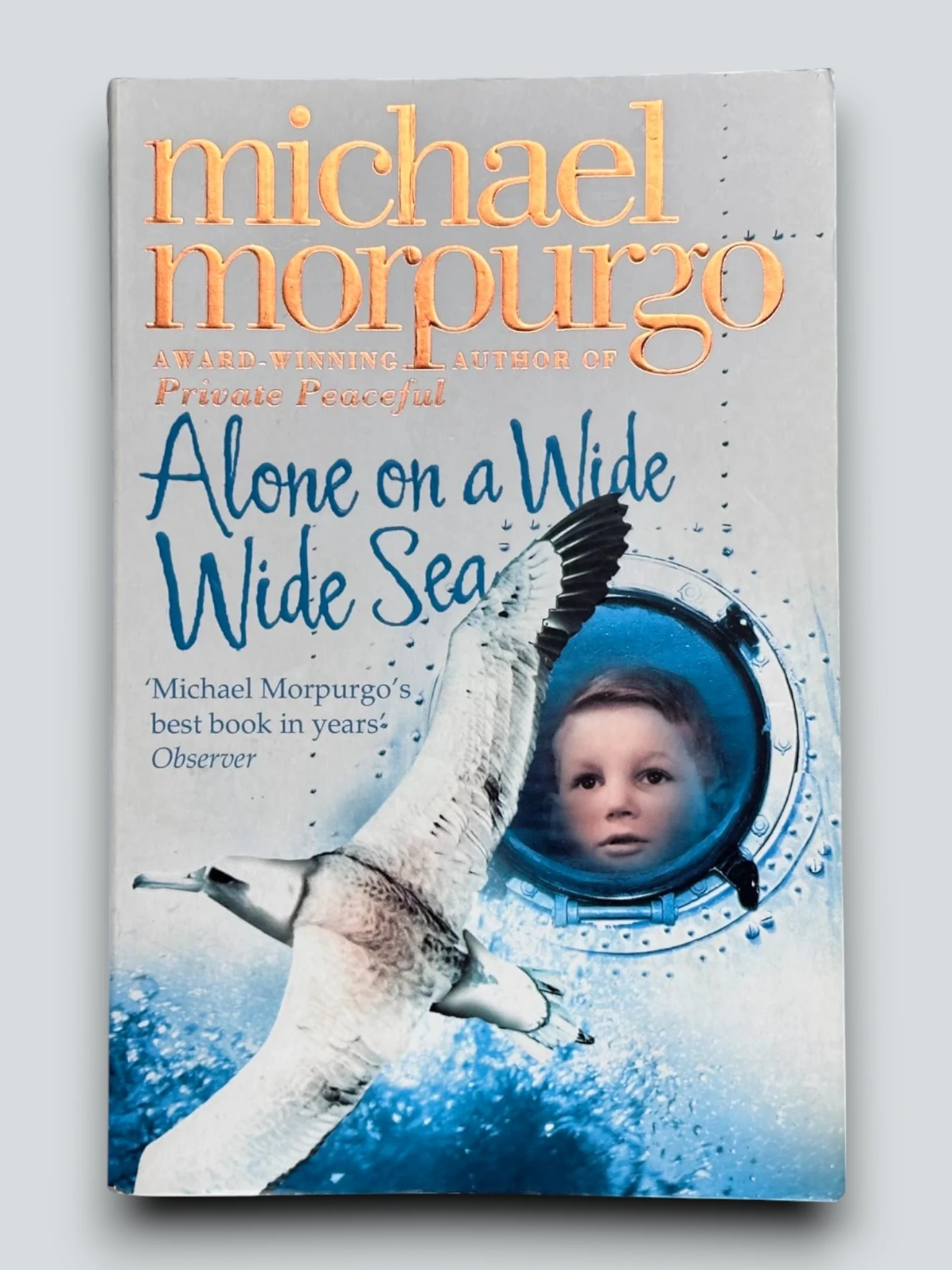 Alone On A Wide Wide Sea